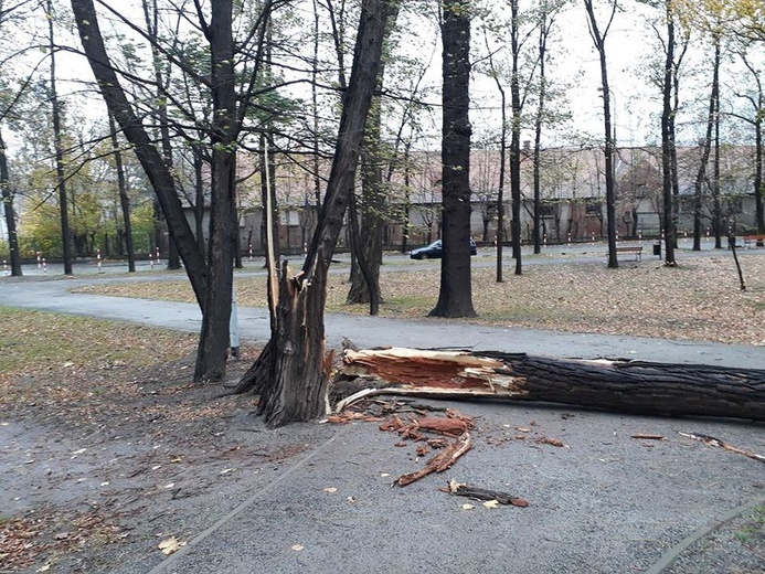 Zniszczenia spowodowane przez orkan Grzegorz