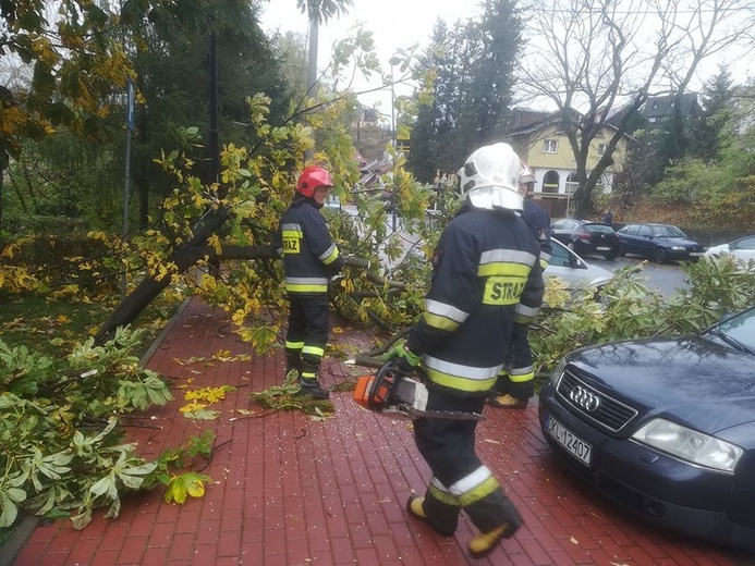 Zniszczenia spowodowane przez orkan Grzegorz