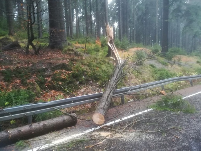 Zniszczenia spowodowane przez orkan Grzegorz