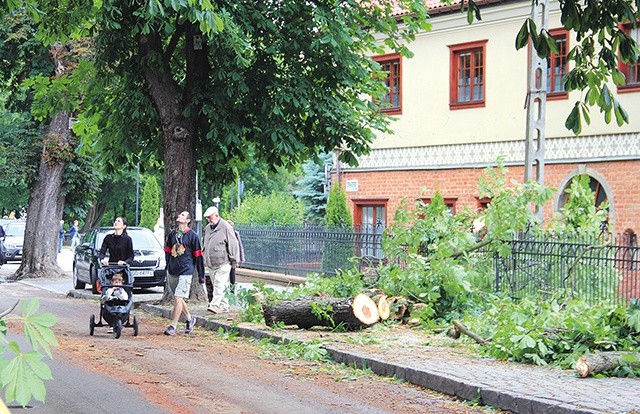 Na wdrożenie nowych rozwiązań trzeba będzie poczekać.