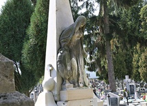	Nagrobna figura kobiety to jeden z najciekawszych pomników na cmentarzu w Krzczonowie.