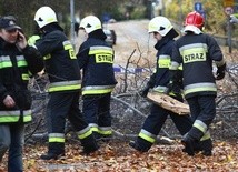 U nas "Grzegorz" nie taki straszny 