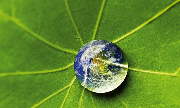 Na razie z całą pewnością możemy powiedzieć tylko tyle, że Ziemia jest jedyną znaną w całym ogromnym wszechświecie żywą biologicznie planetą.