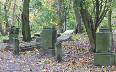 Cmentarz ewangelicki w Gostyninie