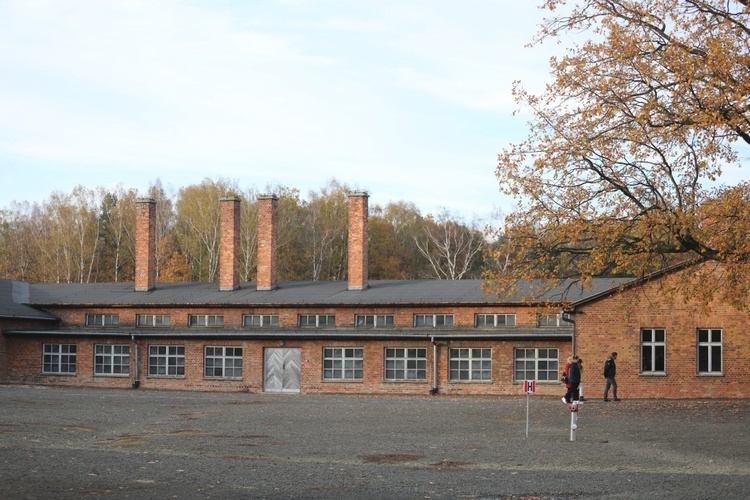 32. Droga Krzyżowa za zmarłych - w byłym KL Auschwitz-Birkenau - 2017