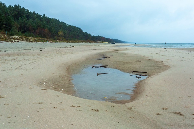 Otwarcie na Nowy Świat