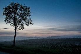 Kościół otwarty jako pochyłe drzewo