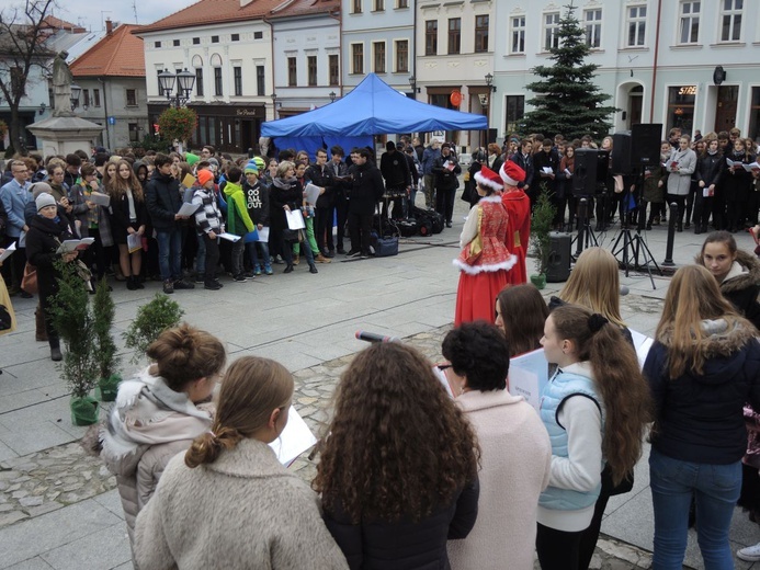 Narodowe śpiewanie w Bielsku-Białej