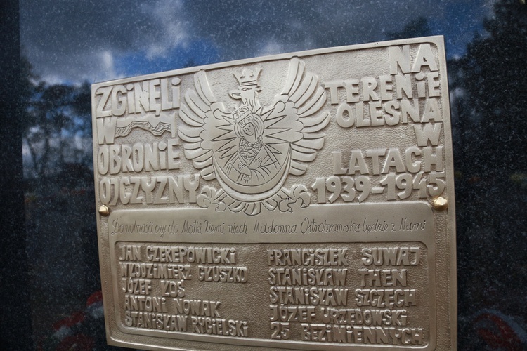 11 listopada w Oleśnie