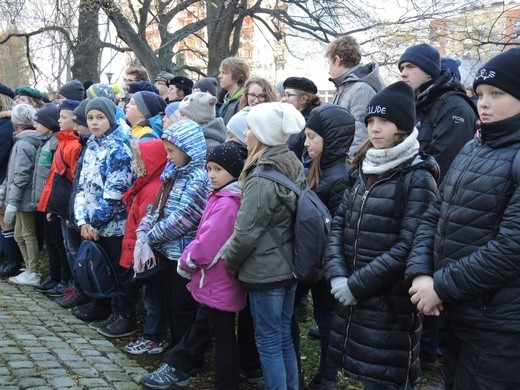 Święto Niepodległości w Bielsku-Białej - 2017