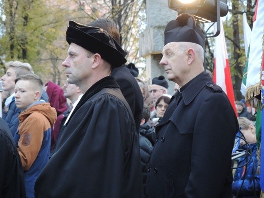 Święto Niepodległości w Bielsku-Białej - 2017