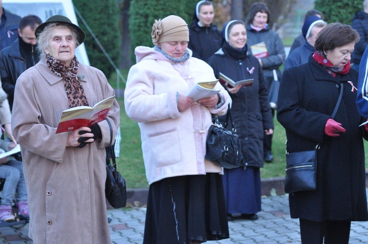 Wieczornica w Dębicy