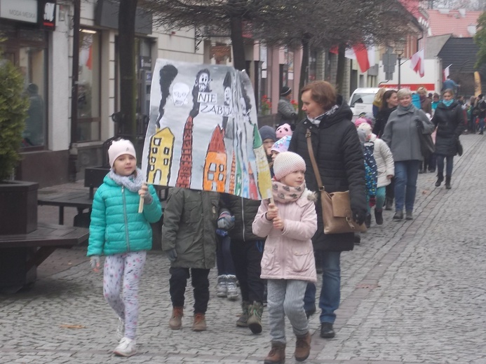 "Dzień Czystego Powietrza" w Pszczynie