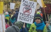 "Dzień Czystego Powietrza" w Pszczynie