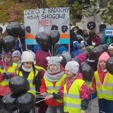 "Dzień Czystego Powietrza" w Pszczynie