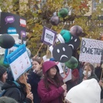 "Dzień Czystego Powietrza" w Pszczynie