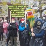 "Dzień Czystego Powietrza" w Pszczynie