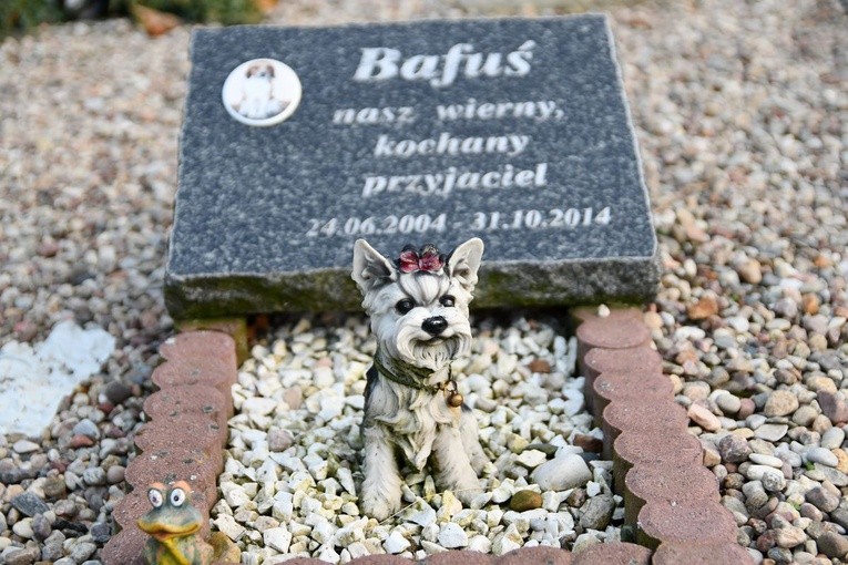 Cmentarz dla zwierząt w Pile