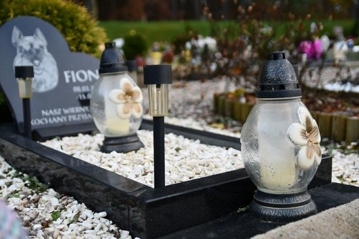 Cmentarz dla zwierząt w Pile