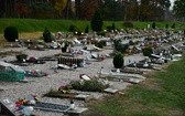 Cmentarz dla zwierząt w Pile