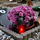 Cmentarz dla zwierząt w Pile