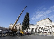 Na placu Świętego Piotra ustawiono choinkę z Polski