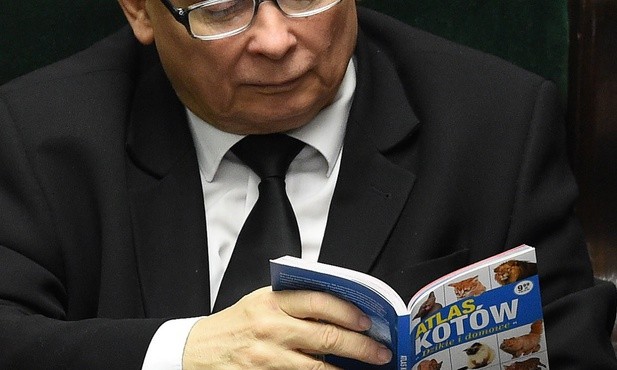 Kaczyński przeglądający w Sejmie "Atlas kotów" trafił do światowej prasy