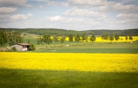 Żukbot - do precyzyjnych oprysków 