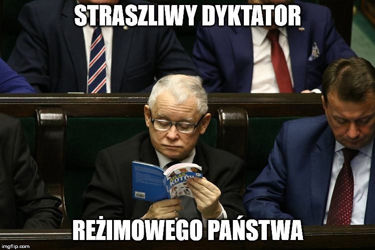 "Atlas Kotów" Kaczyńskiego w memach