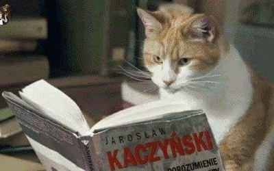 "Atlas Kotów" Kaczyńskiego w memach