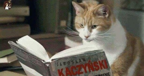 "Atlas Kotów" Kaczyńskiego w memach
