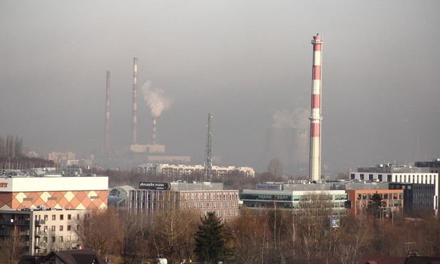 Obraz, zamieniający dwutlenek węgla w tlen