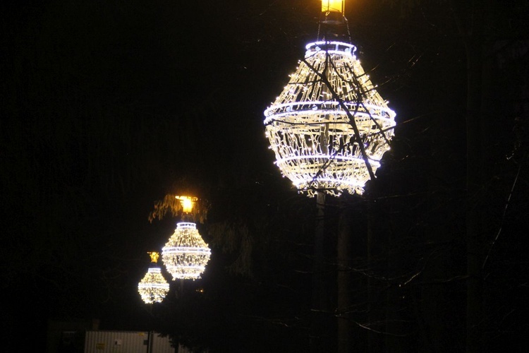 Iluminacje w parku oliwskim