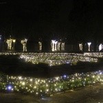 Iluminacje w parku oliwskim