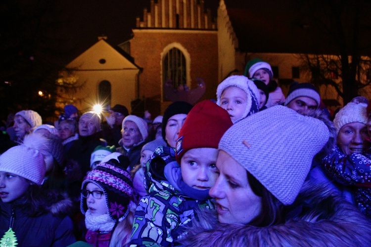 Choinka pod Oknem Papieskim 2017