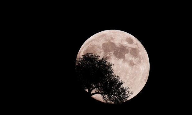 Roje meteorytów, superksiężyc i inne, czyli atrakcje astronomicznej zimy
