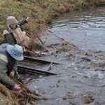 Karp nie tylko na święta