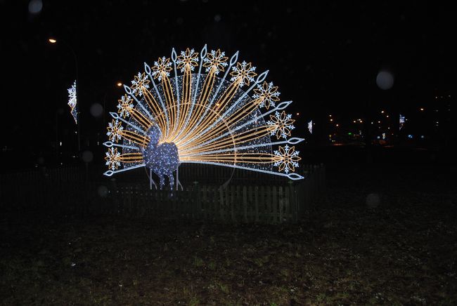 Rozświetlona Stalowa Wola