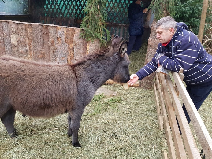 Szopki w archidiecezji 2017