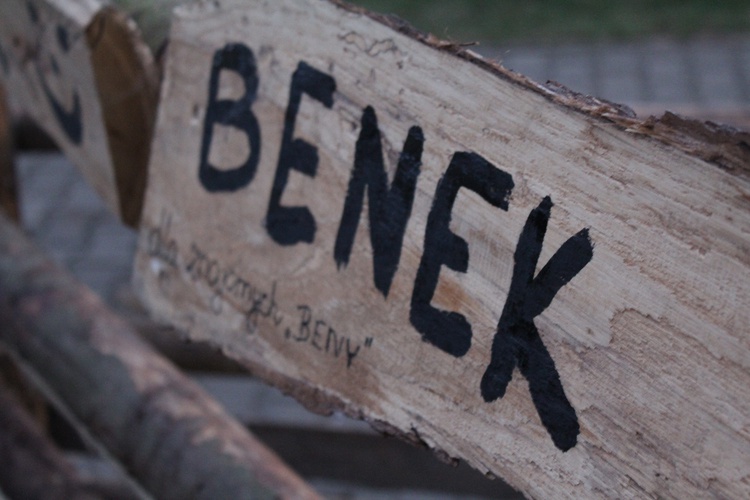 Szopka z żywymi zwierzętami w Starczowie