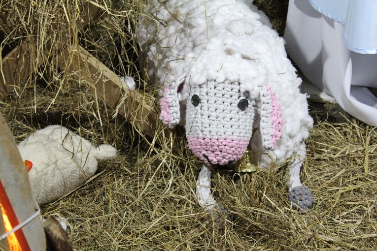 Szopka z żywymi zwierzętami w Starczowie