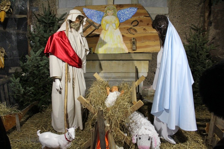 Szopka z żywymi zwierzętami w Starczowie