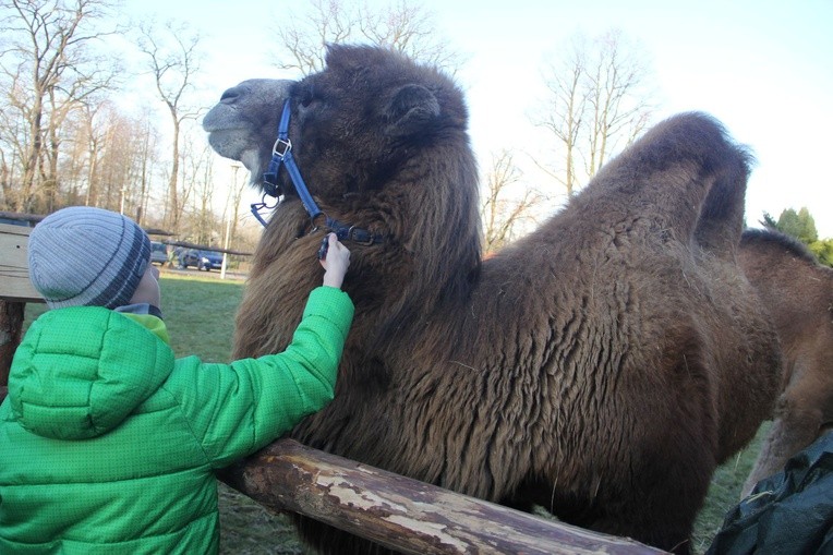 Żywa szopka w Błoniu
