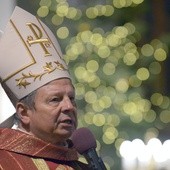 Herb bp. Henryka Tomasika (widoczny na mitrze) odwołuje się do najstarszego chrześcijańskiego monogramu Chrystusa: krzyż, którego pionowe ramię tworzy grecką literę "P", czyli nasze "R". Sam krzyż jest grecką literą "Ch". "Ch" i "R" to skrót słowa Chrystus. Obok krzyża greckie litery alfa i omega, pierwsza i ostatnia w alfabecie, symbole początku i końca, w istocie całości