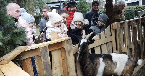 Koza Mikołaj chętnie pozuje i niczym kot łasi się do zwiedzających