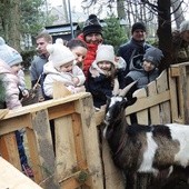 Koza Mikołaj chętnie pozuje i niczym kot łasi się do zwiedzających