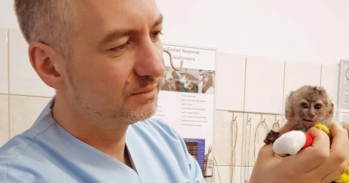 My się bawimy, zwierzęta cierpią