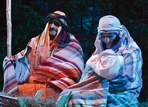 ▼	Scena z Nowonarodzonym, znajdująca się na samym końcu wioski, zachęcała zwiedzających do wizyty w kościele, gdzie czekał na nich prawdziwy Jezus.