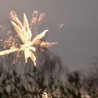 Gdy odpalano noworoczne fajerwerki, zdaje się, że podejrzany planował znacznie większe wybuchy