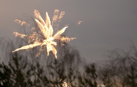 Gdy odpalano noworoczne fajerwerki, zdaje się, że podejrzany planował znacznie większe wybuchy